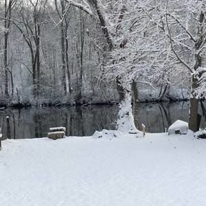 Meet your Posher, Rita